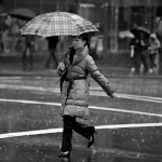 Sydney Rains